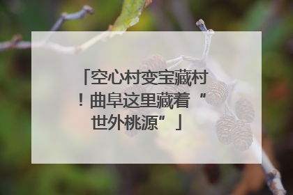 空心村变宝藏村！曲阜这里藏着“世外桃源”