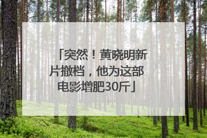 突然！黄晓明新片撤档，他为这部电影增肥30斤