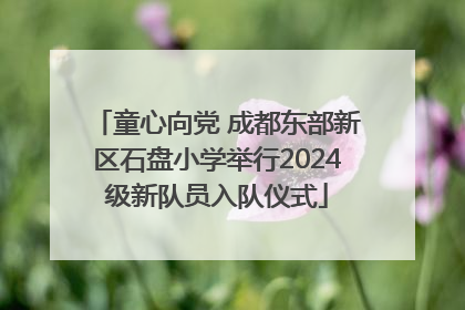 童心向党 成都东部新区石盘小学举行2024级新队员入队仪式