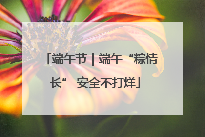 端午节｜端午“粽情长” 安全不打烊