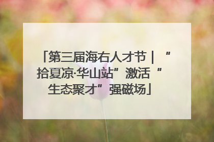 第三届海右人才节｜“拾夏凉·华山站”激活“生态聚才”强磁场