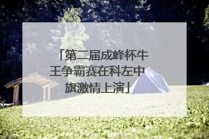 第二届成峰杯牛王争霸赛在科左中旗激情上演