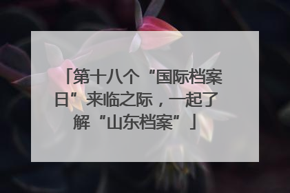 第十八个“国际档案日”来临之际，一起了解“山东档案”