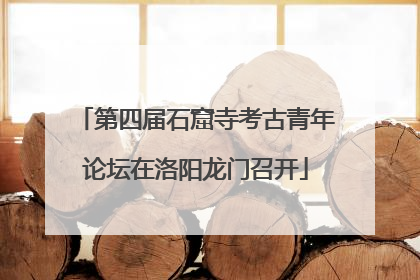 第四届石窟寺考古青年论坛在洛阳龙门召开