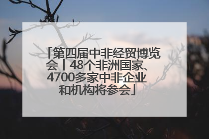 第四届中非经贸博览会丨48个非洲国家、4700多家中非企业和机构将参会