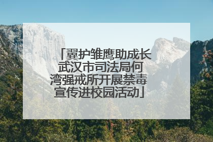 翼护雏鹰助成长 武汉市司法局何湾强戒所开展禁毒宣传进校园活动