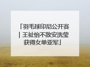 羽毛球印尼公开赛｜王祉怡不敌安洗莹 获得女单亚军