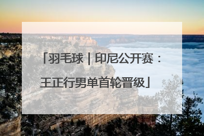 羽毛球｜印尼公开赛：王正行男单首轮晋级