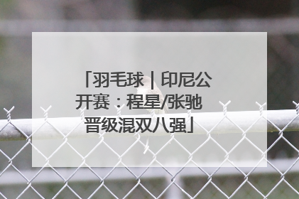 羽毛球｜印尼公开赛：程星/张驰晋级混双八强