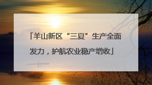 羊山新区“三夏”生产全面发力，护航农业稳产增收