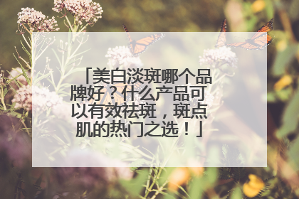 美白淡斑哪个品牌好？什么产品可以有效祛斑，斑点肌的热门之选！