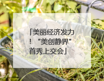 美丽经济发力！“美创静界”首秀上交会