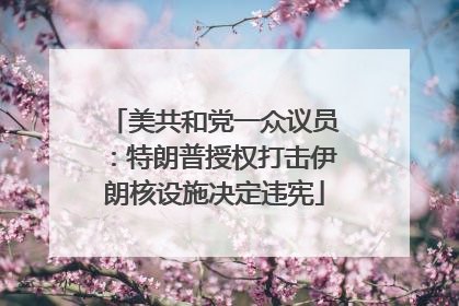 美共和党一众议员：特朗普授权打击伊朗核设施决定违宪