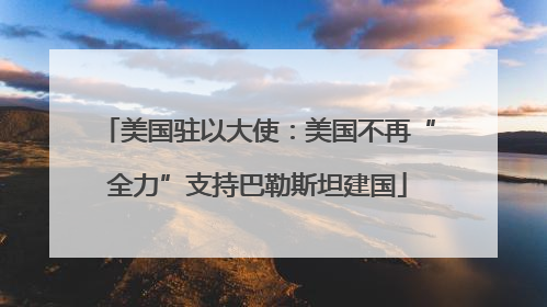 美国驻以大使：美国不再“全力”支持巴勒斯坦建国