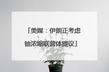 美媒：伊朗正考虑铀浓缩联营体提议
