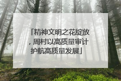 精神文明之花绽放，周村以高质量审计护航高质量发展
