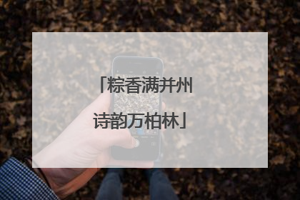 粽香满并州 诗韵万柏林