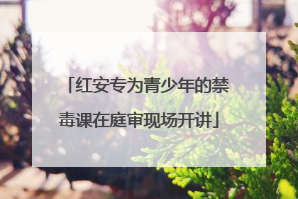红安专为青少年的禁毒课在庭审现场开讲