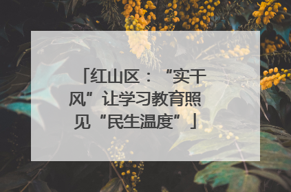 红山区：“实干风”让学习教育照见“民生温度”