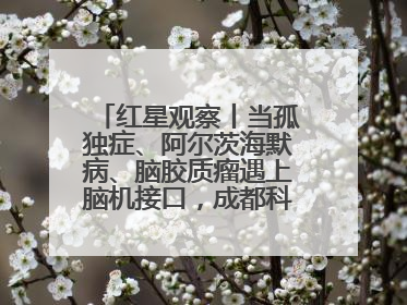 红星观察丨当孤独症、阿尔茨海默病、脑胶质瘤遇上脑机接口，成都科研改变医学图景