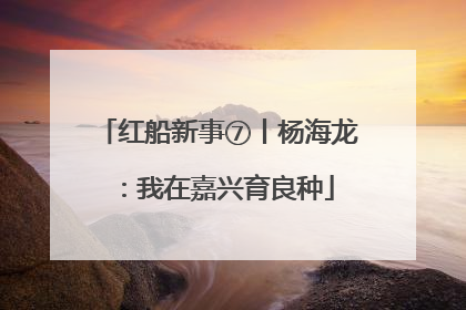 红船新事⑦丨杨海龙：我在嘉兴育良种