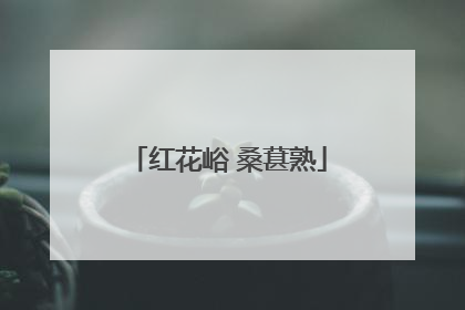 红花峪 桑葚熟