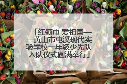 红领巾 爱祖国——黄山市屯溪现代实验学校一年级少先队入队仪式圆满举行