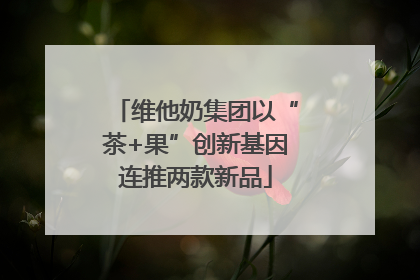 维他奶集团以“茶+果”创新基因连推两款新品