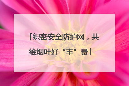 织密安全防护网，共绘烟叶好“丰”景