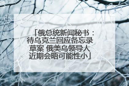 俄总统新闻秘书：待乌克兰回应备忘录草案 俄美乌领导人近期会晤可能性小