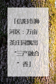 信阳市浉河区：万亩茶庄园飘出“三产融合”香