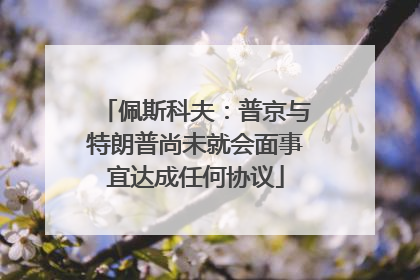 佩斯科夫：普京与特朗普尚未就会面事宜达成任何协议