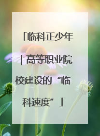临科正少年｜高等职业院校建设的“临科速度”