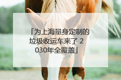 为上海量身定制的垃圾收运车来了 2030年全覆盖
