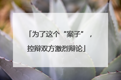 为了这个“案子”，控辩双方激烈辩论