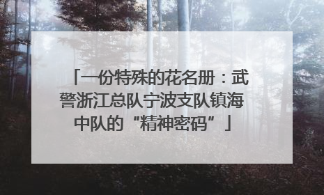 一份特殊的花名册：武警浙江总队宁波支队镇海中队的“精神密码”