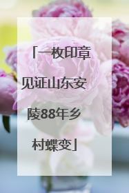 一枚印章见证山东安陵88年乡村蝶变