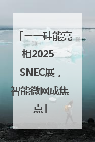 三一硅能亮相2025 SNEC展，智能微网成焦点