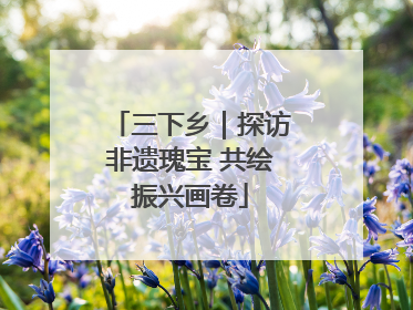 三下乡｜探访非遗瑰宝 共绘振兴画卷