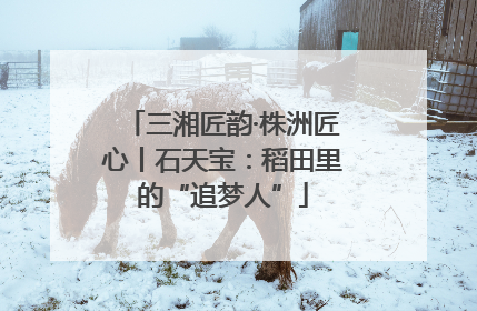 三湘匠韵·株洲匠心丨石天宝：稻田里的“追梦人”