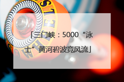 三门峡：5000“泳士”黄河碧波竞风流