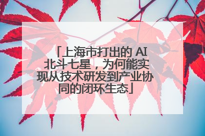 上海市打出的 AI 北斗七星，为何能实现从技术研发到产业协同的闭环生态