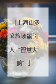 上海更多文旅场景引入“智慧大脑”