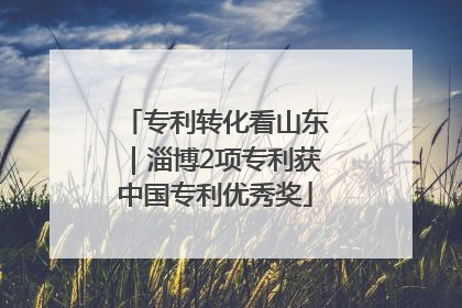 专利转化看山东｜淄博2项专利获中国专利优秀奖