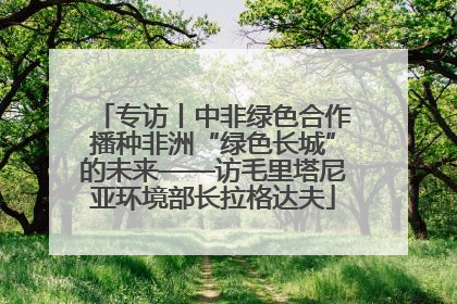 专访丨中非绿色合作播种非洲“绿色长城”的未来——访毛里塔尼亚环境部长拉格达夫