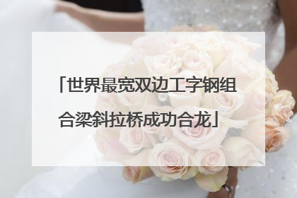 世界最宽双边工字钢组合梁斜拉桥成功合龙