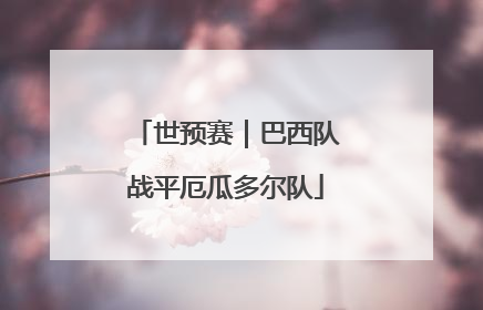 世预赛｜巴西队战平厄瓜多尔队