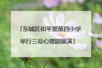 东城区和平里第四小学举行三幕心理剧展演