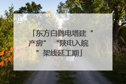 东方白鹳电塔建“产房” “陕电入皖”架线延工期