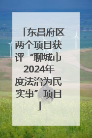 东昌府区两个项目获评“聊城市2024年度法治为民实事”项目
